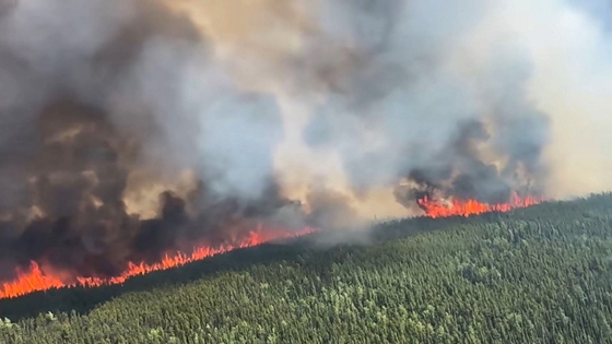 Világ: Példátlan bozót- és erdőtüzek pusztítanak Kanada nyugati részén