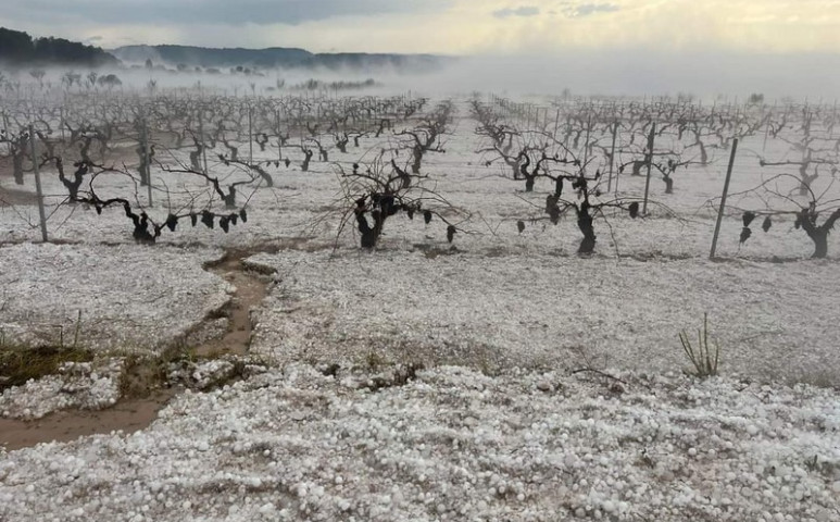 22 000 hektáron pusztult a termés Valenciában a jégveréses vihar nyomán a hétvégén