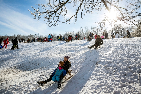 Itthon: Megsemmisítette a bíróság a Normafára közpénzmilliárdokból felhúzott sífutó, és szánkópálya engedélyeit