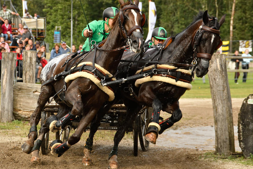 Aranyért hajtanak a magyarok a világbajnokságon