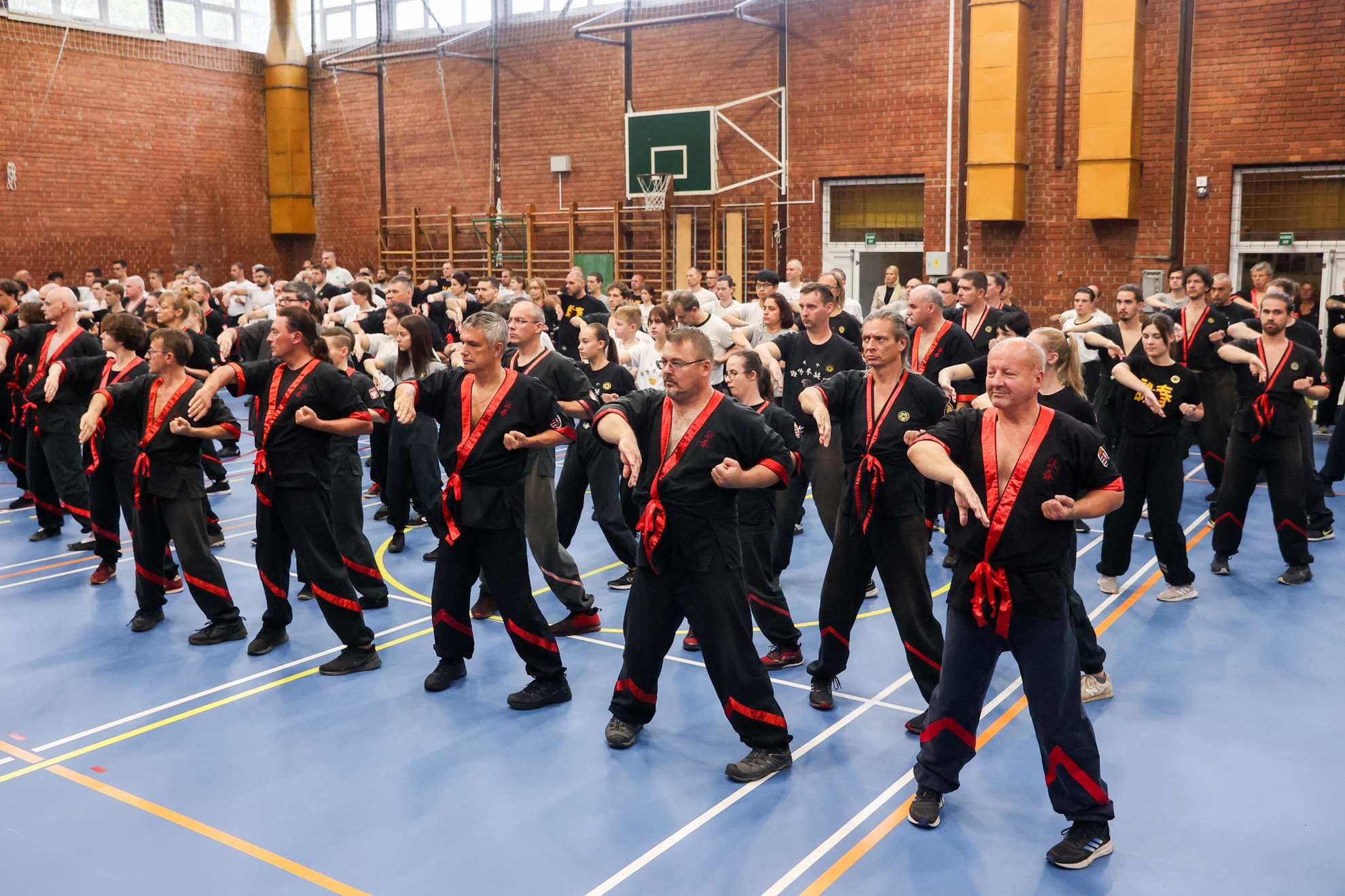 Wing Tsun kungfu irányzat iránt Magyarországon is nagy az érdeklődés