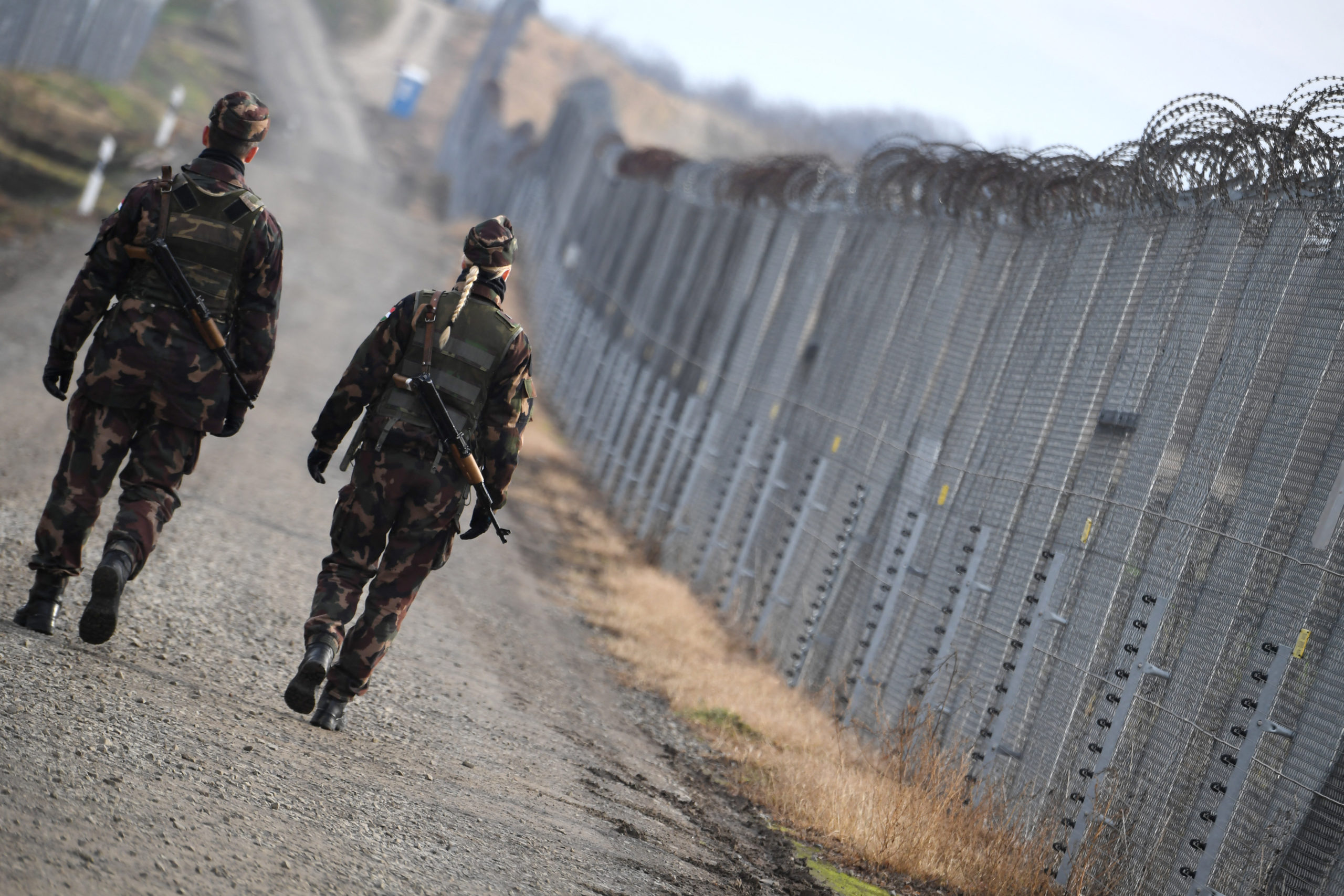 Terrorosztagok migránsokat toboroznak a szerb–magyar határon