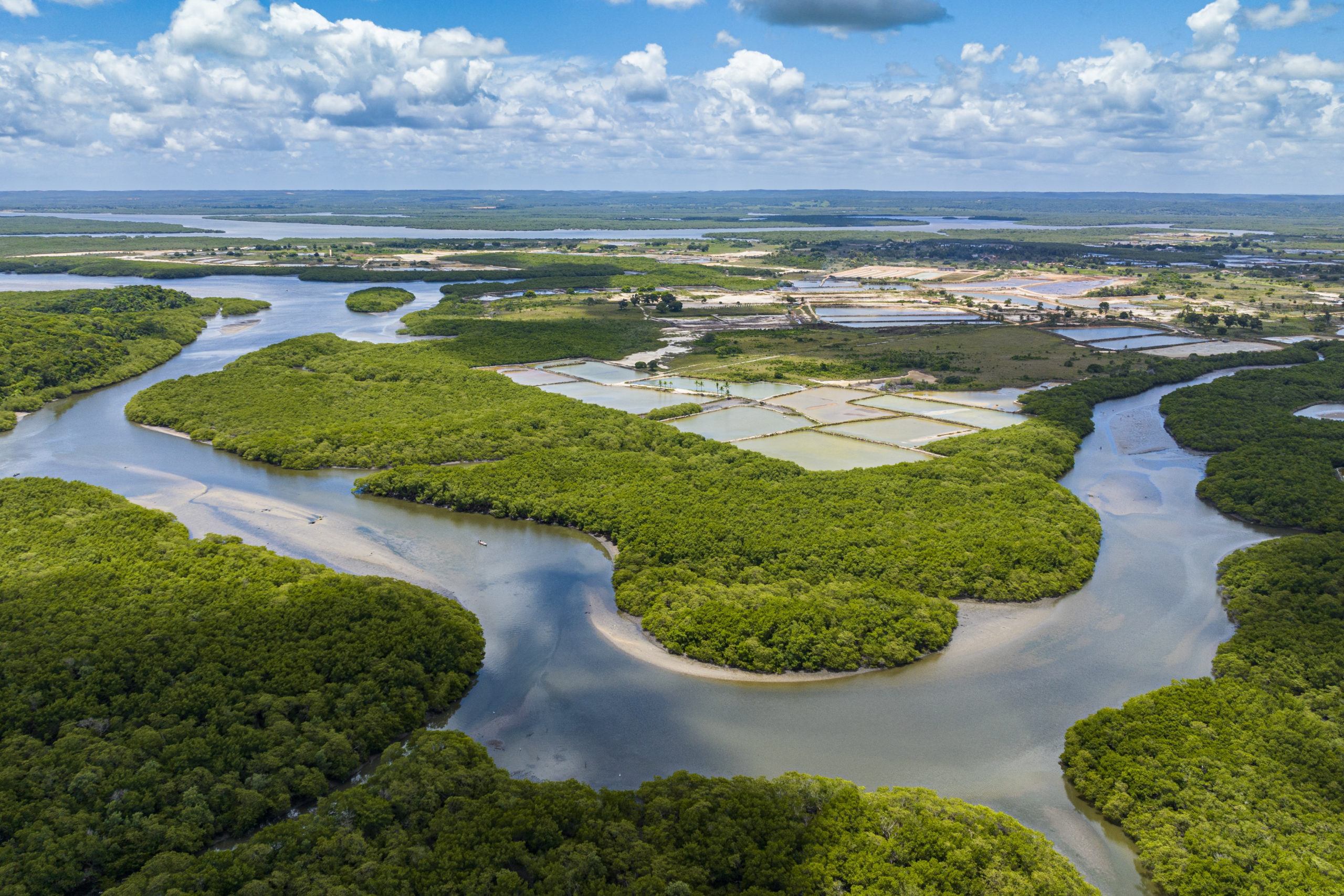 Mintegy 2500 éve épült város maradványait fedezték fel az Amazonas vidékén