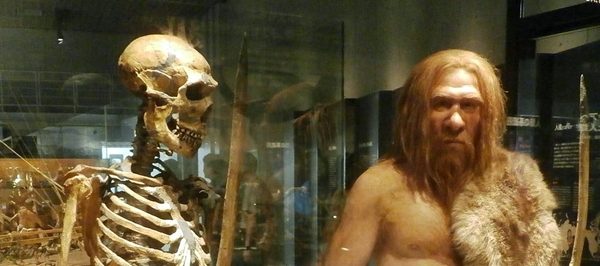 Tech: Lehet, hogy át kell írni a történelemkönyveket: úgy néz ki, ugyanahhoz a fajhoz tartozhat a neandervölgyi ember és a homo sapiens