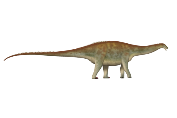 Új dinoszauruszfajt fedeztek fel Patagóniában